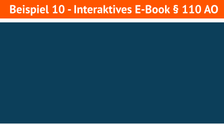 Beispiel 10 - Interaktives E-Book § 110 AO